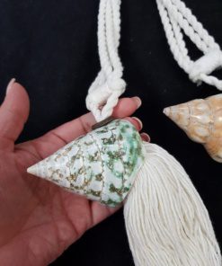 TN 20210910 132926 rotated